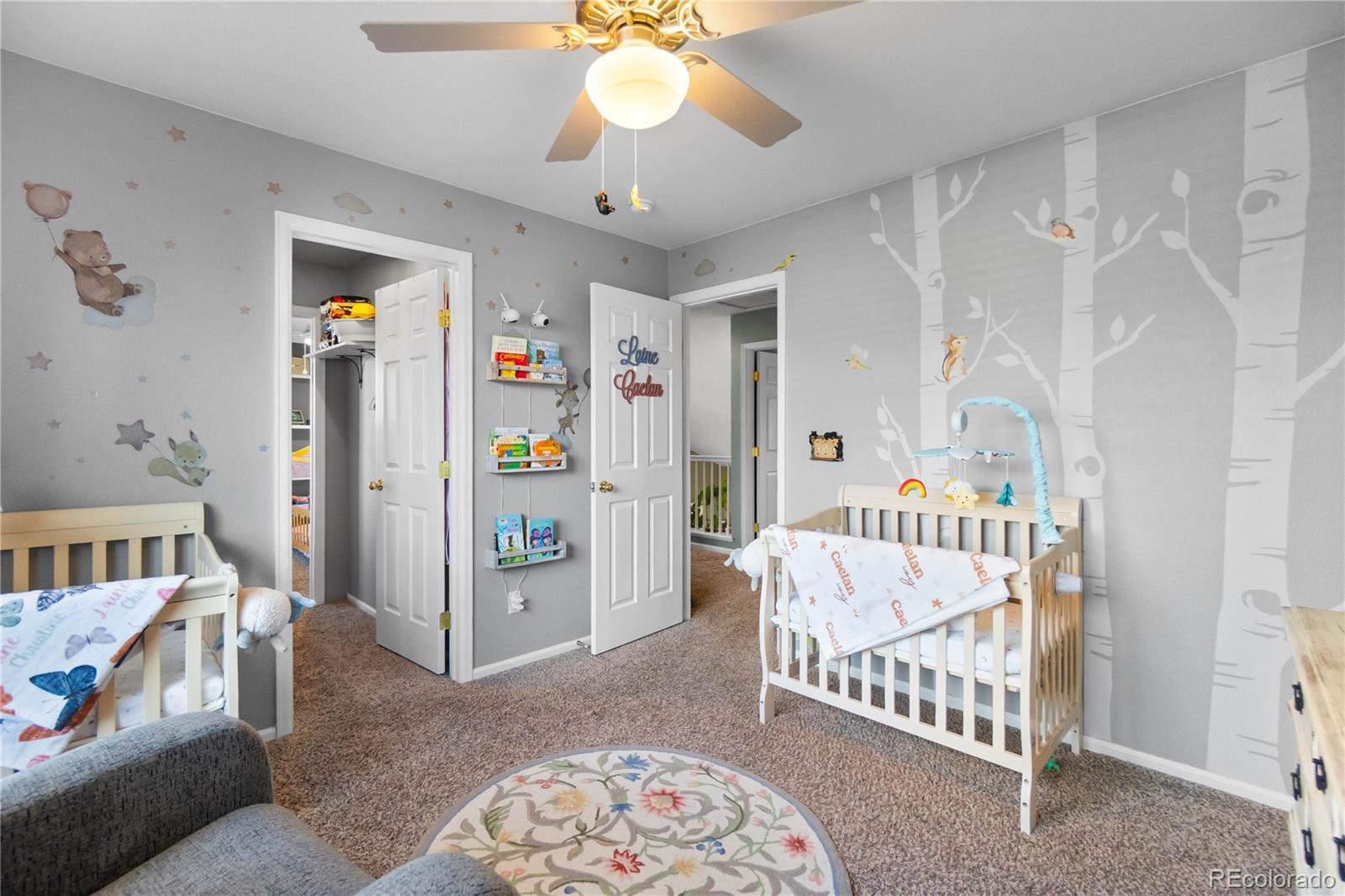 3987 Shane Valley Trail