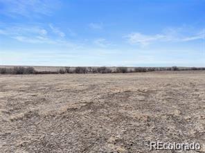 12008 County Road 2a