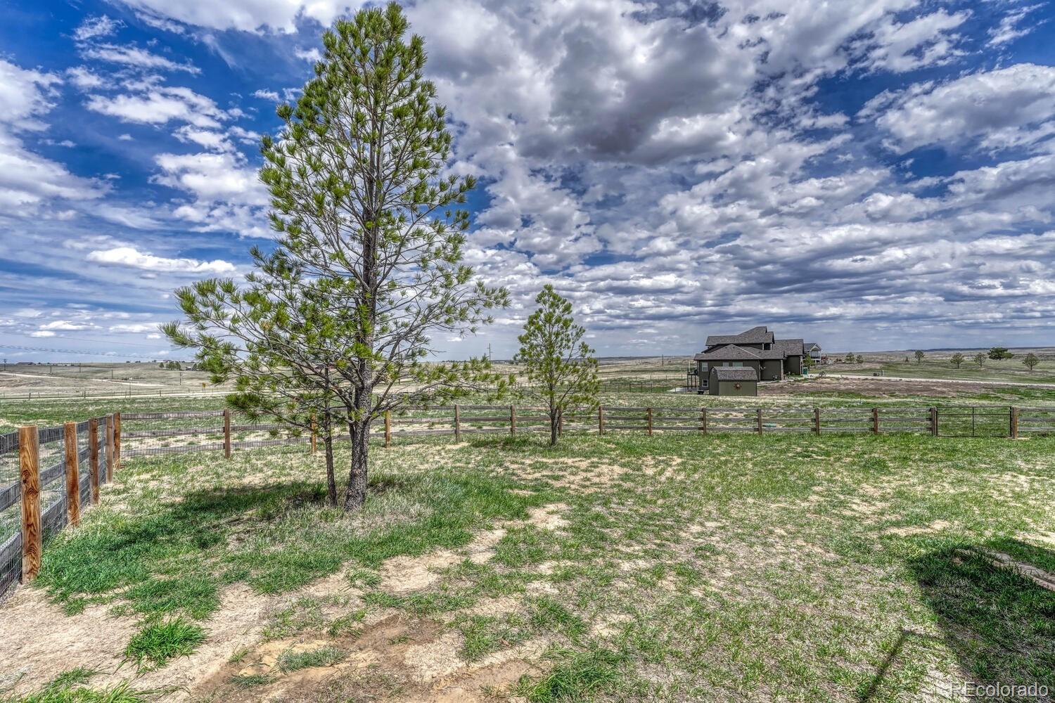 6957 Black Forest Drive