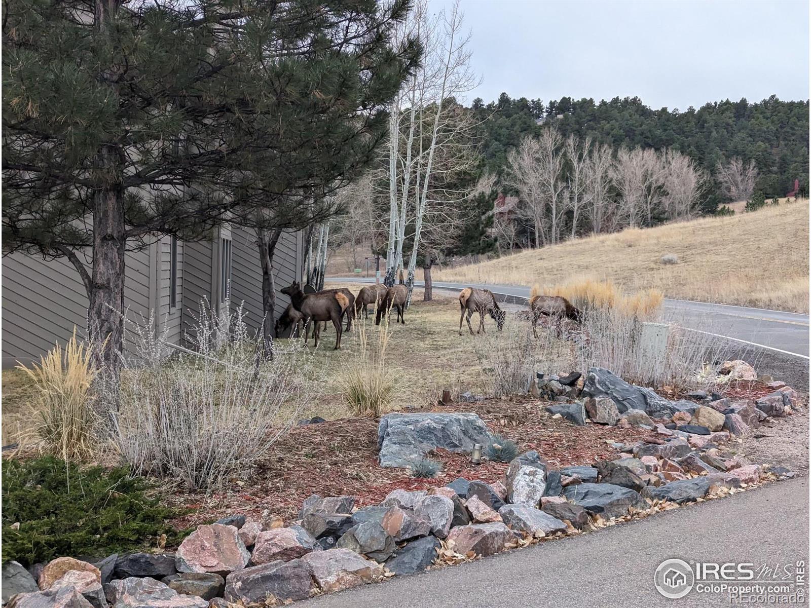 23546 Pondview Place