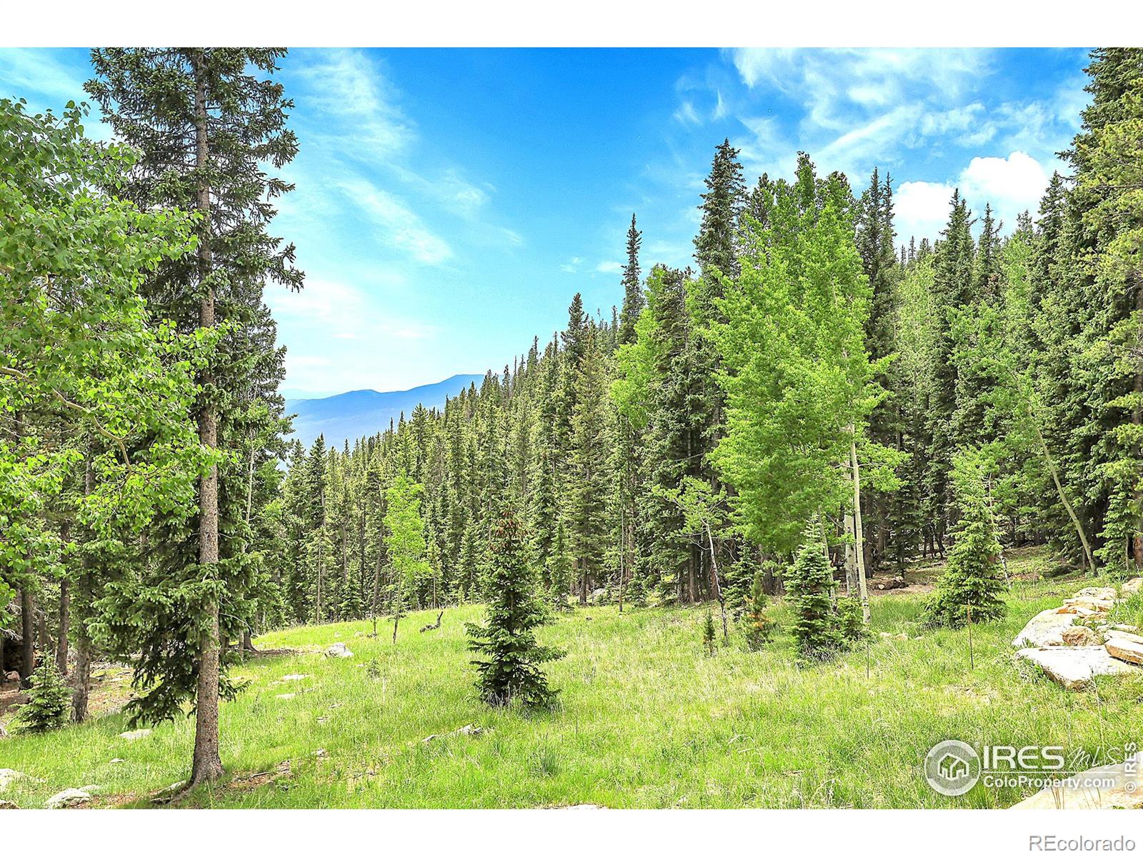 1176 Raven Ridge Road