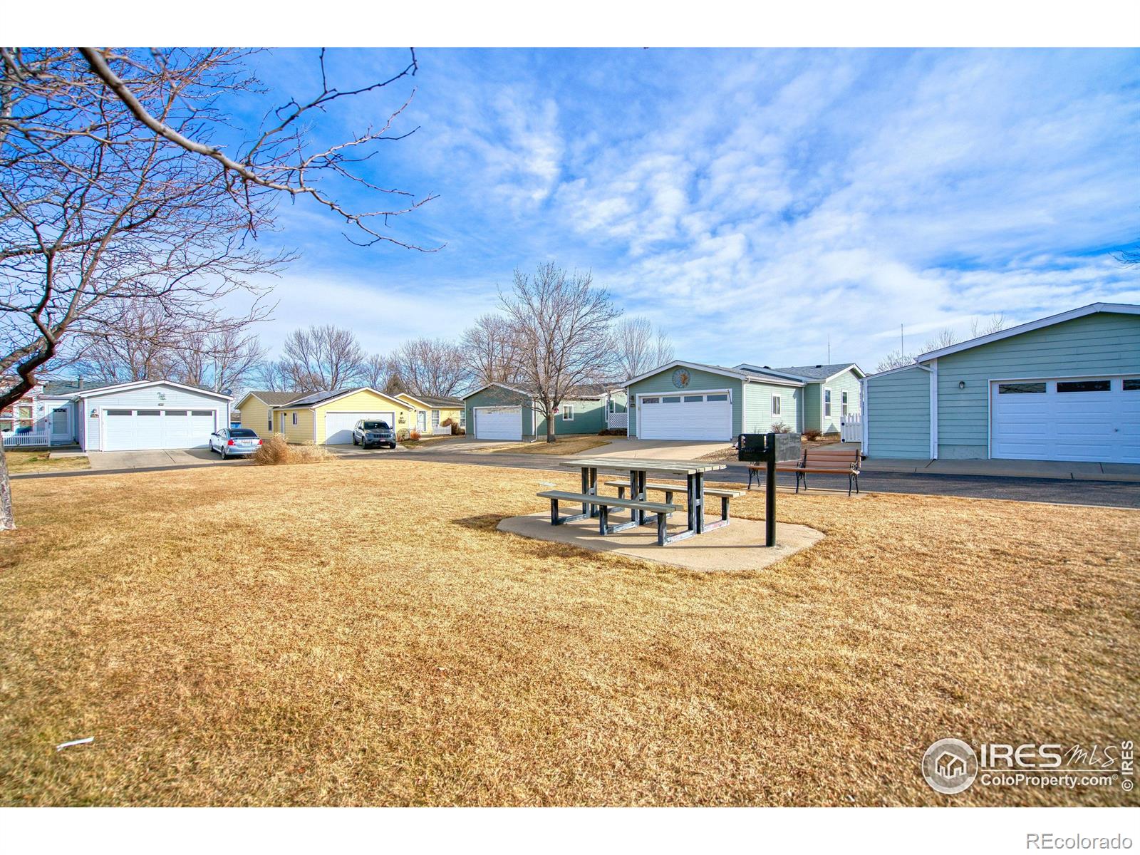 7745 Primrose Green