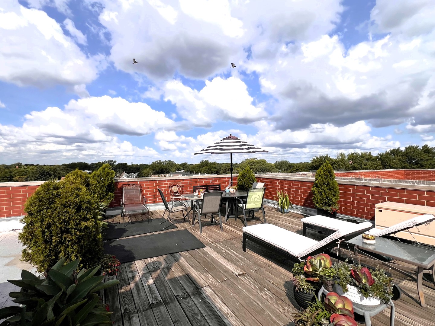 4104 N WESTERN Avenue Unit: 3S