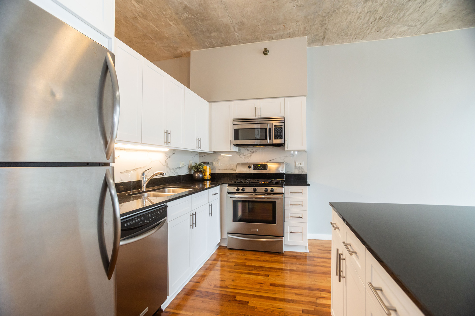 1620 S Michigan Avenue Unit: Floor-10