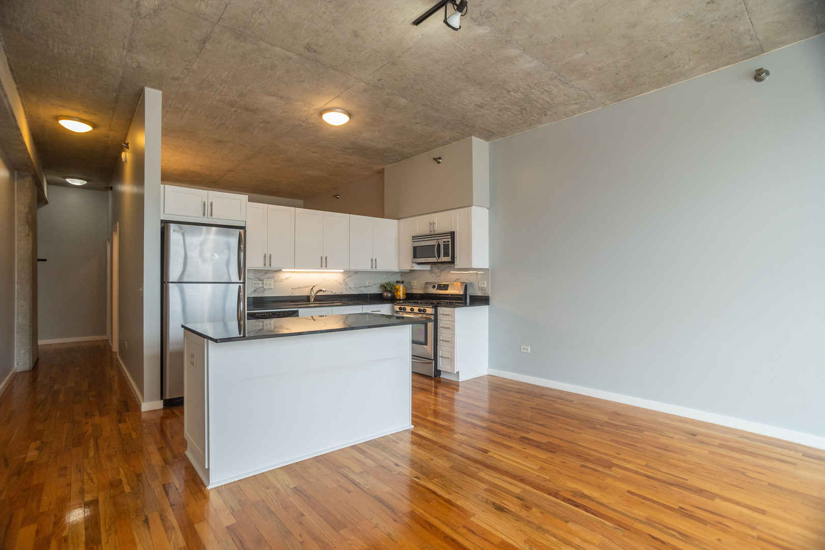1620 S Michigan Avenue Unit: Floor-10