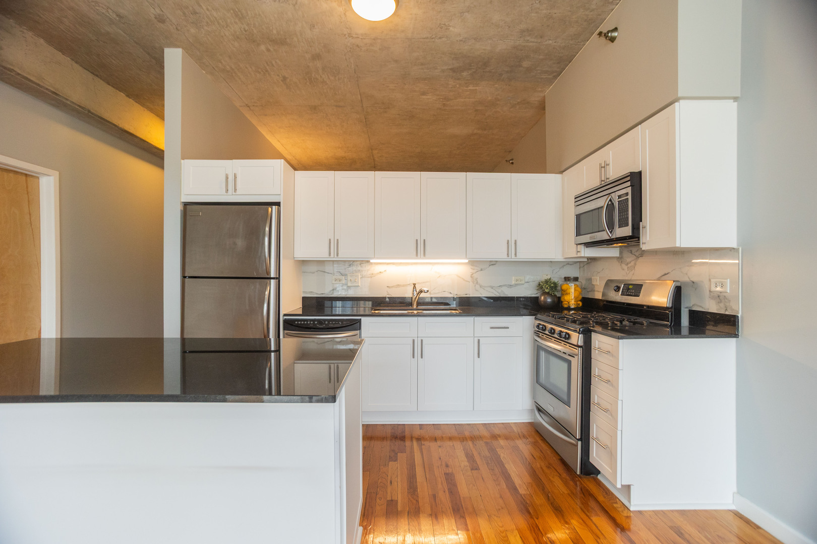 1620 S Michigan Avenue Unit: Floor-10