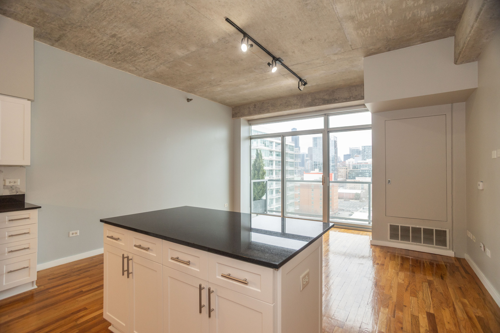 1620 S Michigan Avenue Unit: Floor-10