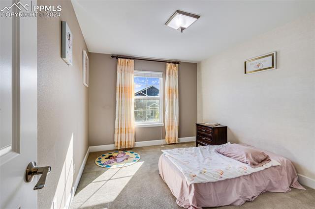 6690 Van Winkle Drive