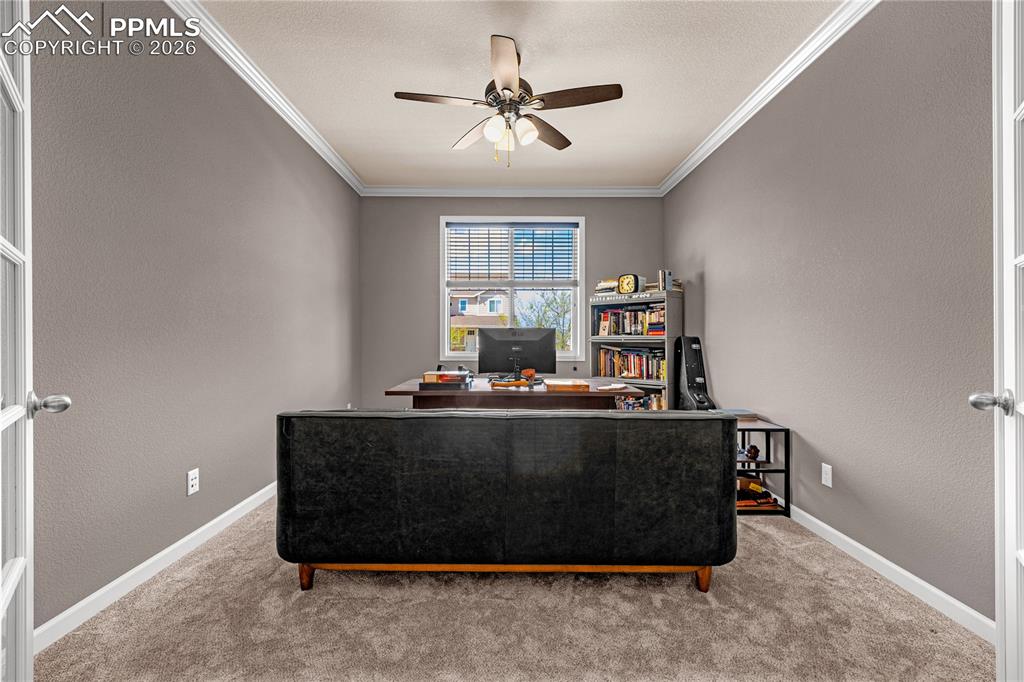 7115 Mountain Spruce Drive