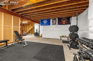 7115 Mountain Spruce Drive