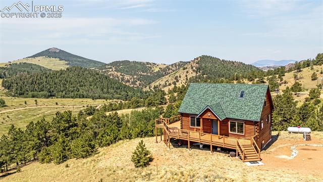 1298 Copper Mountain Drive