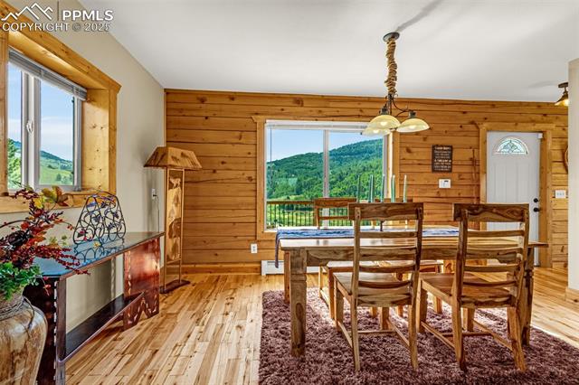 1298 Copper Mountain Drive