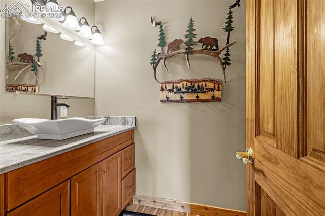 1298 Copper Mountain Drive