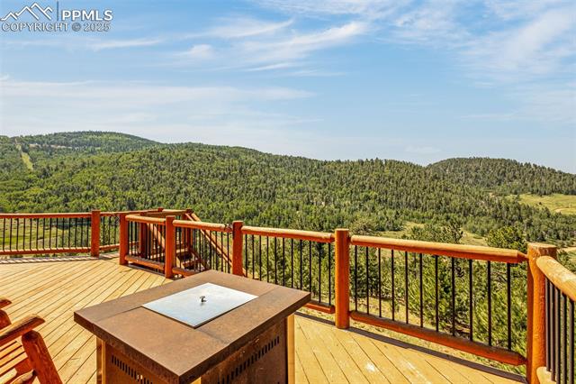 1298 Copper Mountain Drive