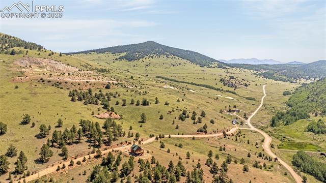 1298 Copper Mountain Drive