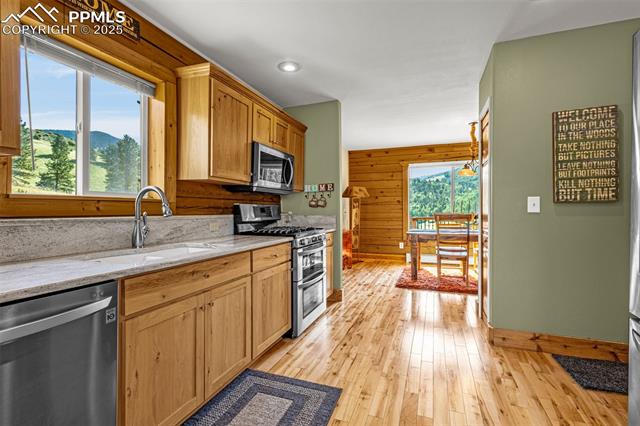 1298 Copper Mountain Drive