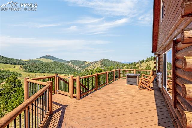 1298 Copper Mountain Drive