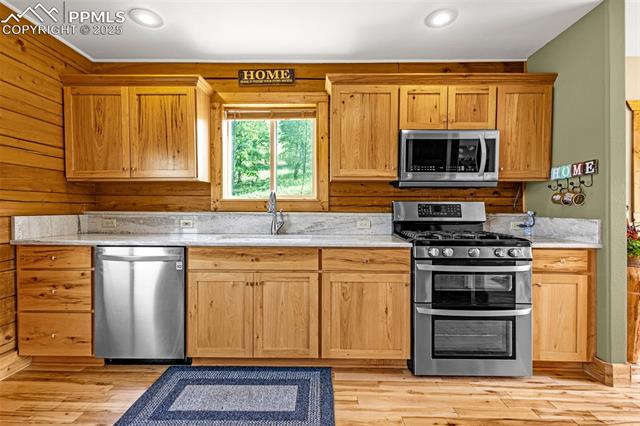 1298 Copper Mountain Drive