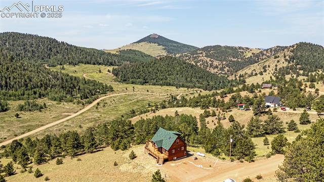 1298 Copper Mountain Drive