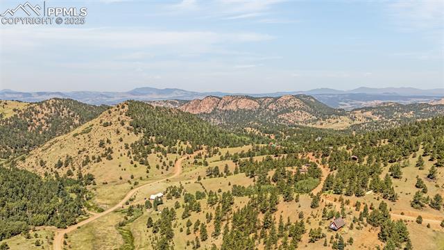 1298 Copper Mountain Drive