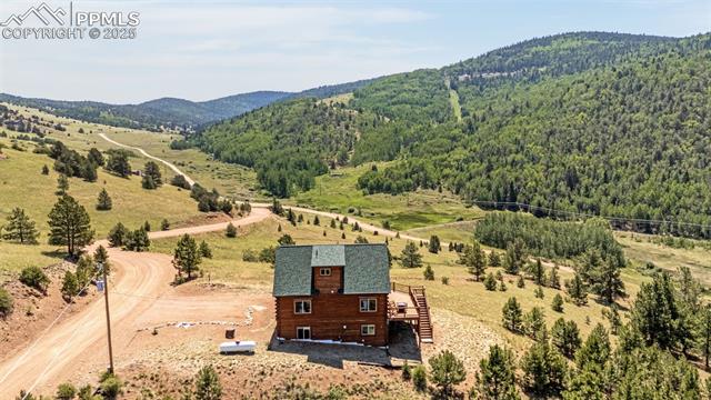 1298 Copper Mountain Drive