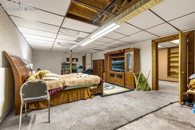 7282 Murdoch Drive