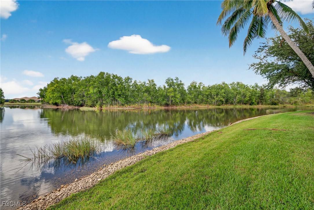 11990 Hidden Links DR