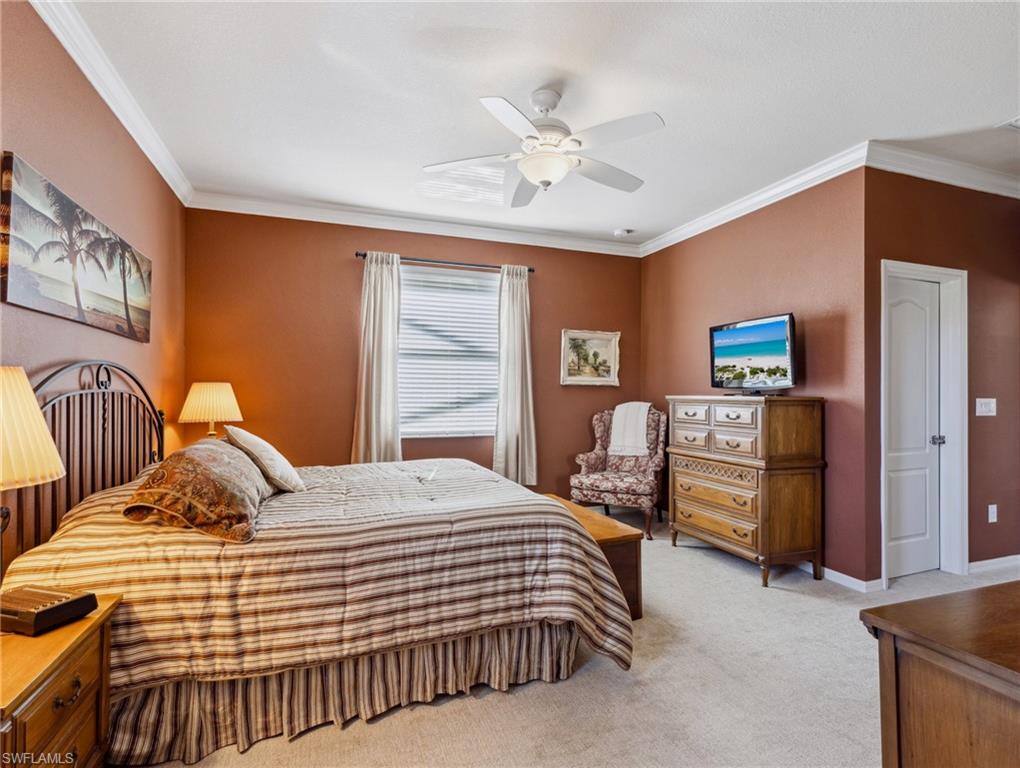 13117 Cardeto CT