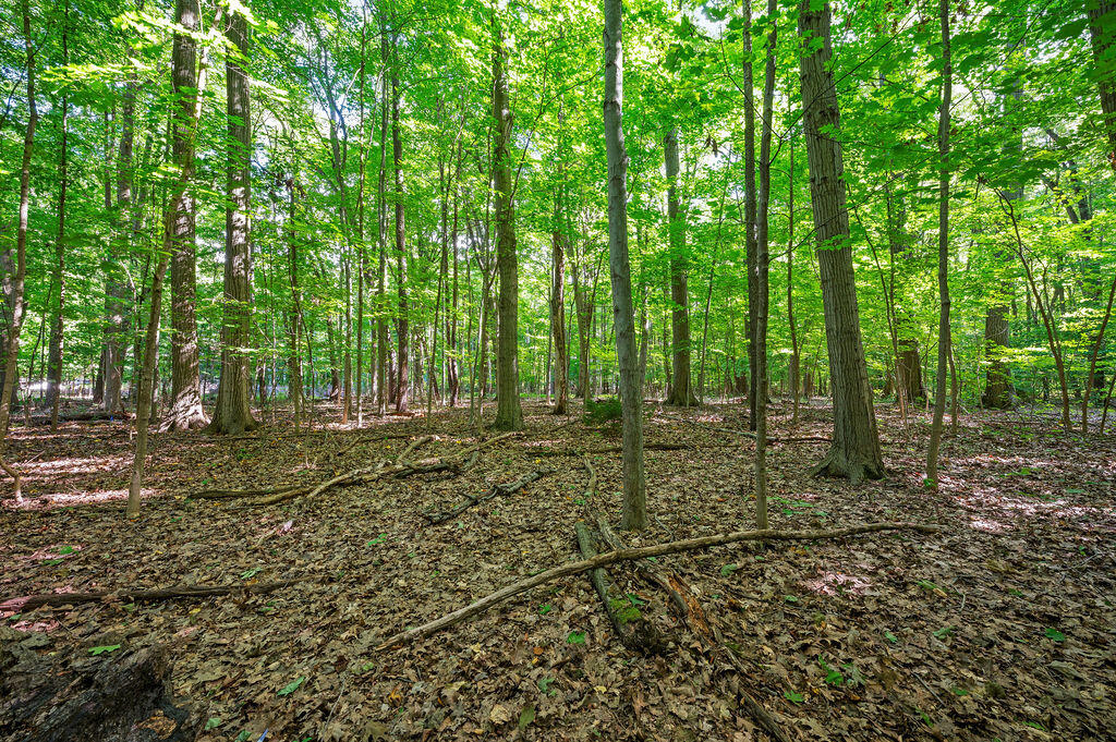 13855 Cherry Beach Road