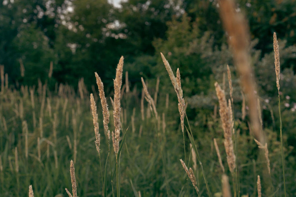 5553 Hidden Pond Lane