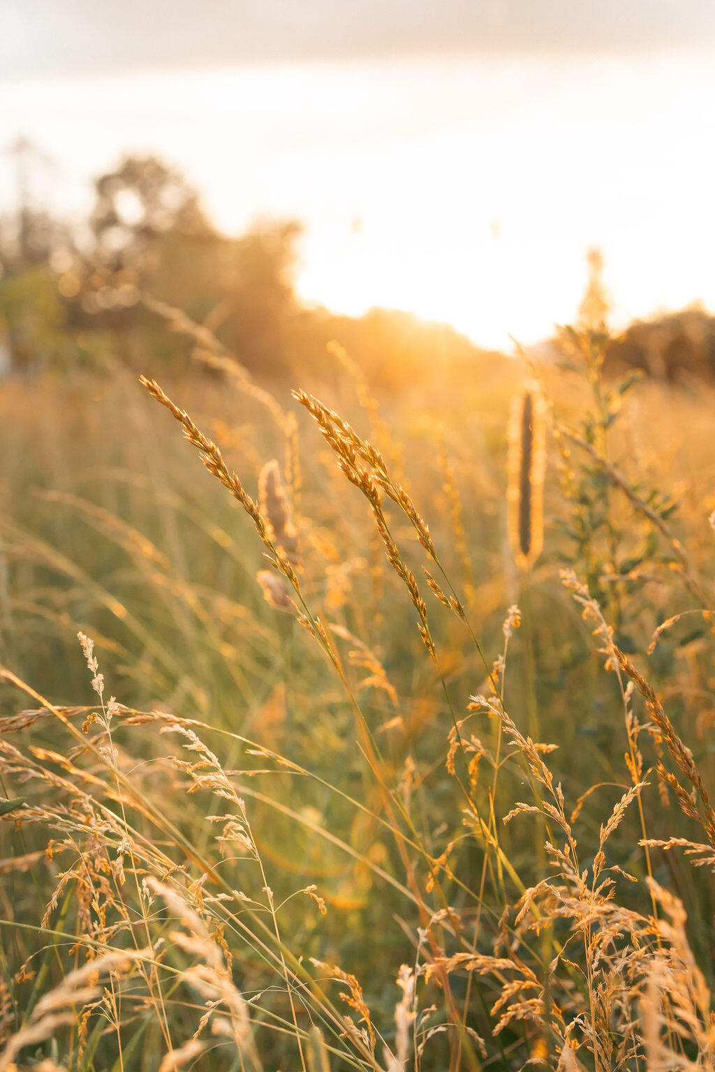 5553 Hidden Pond Lane