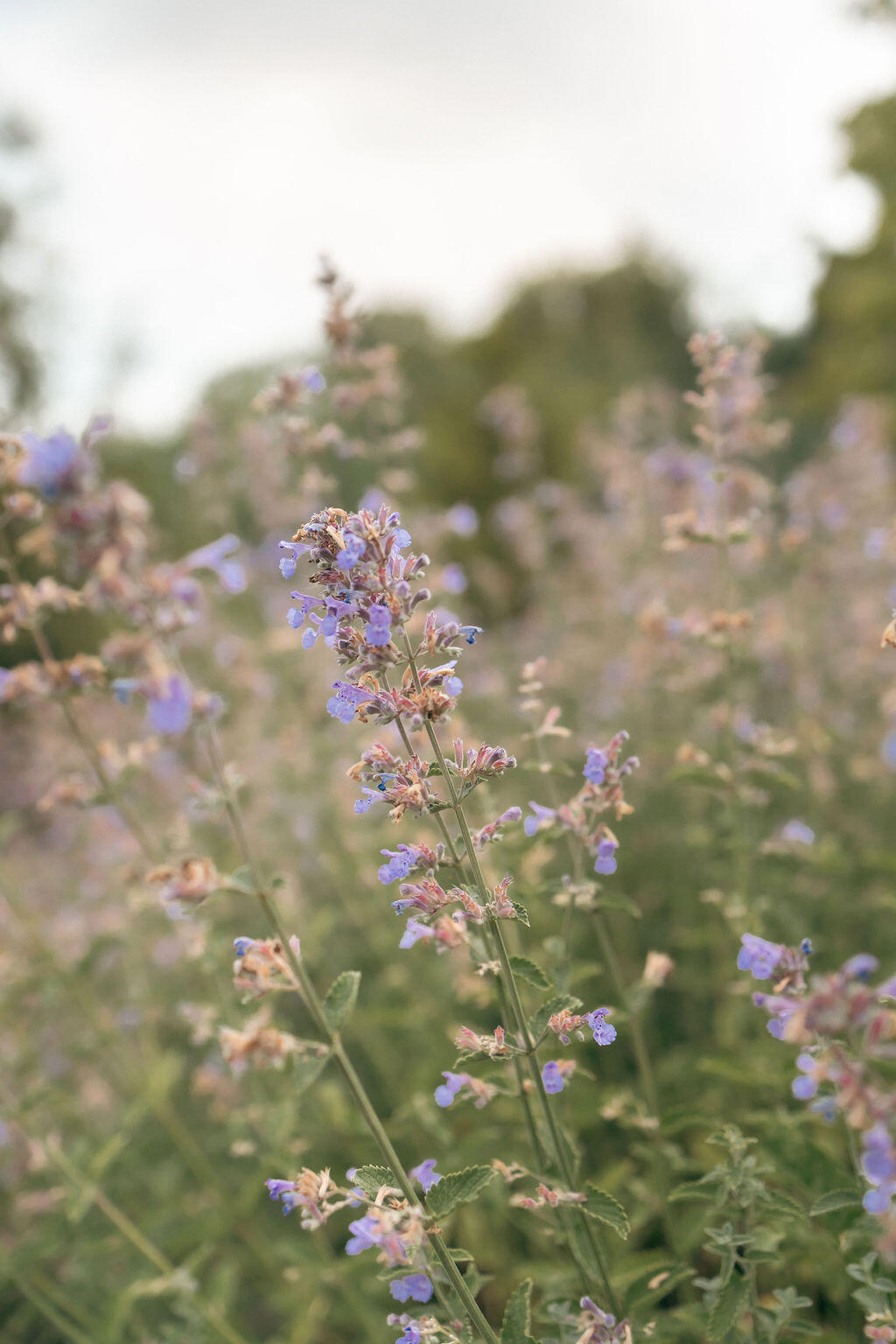 5553 Hidden Pond Lane