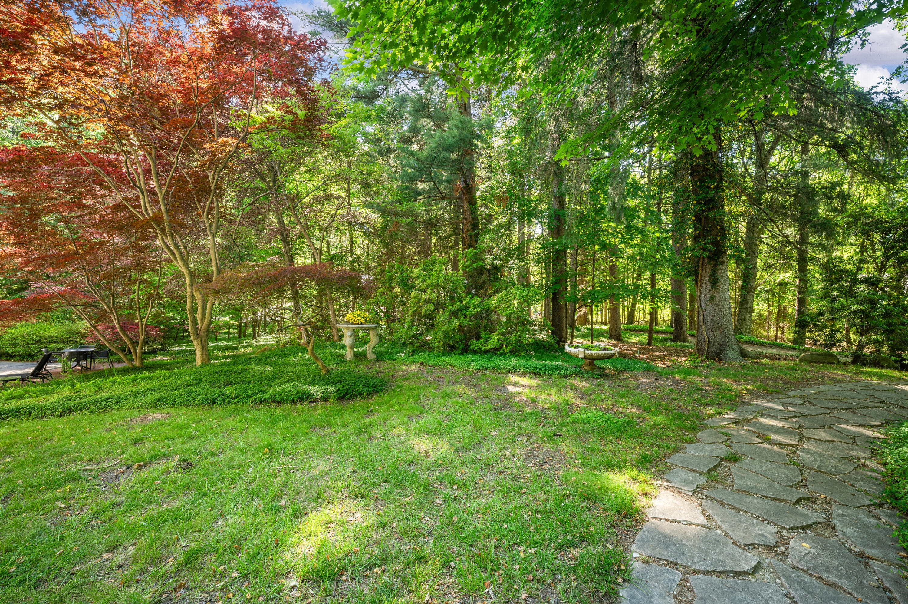 13165 Birchwood Drive