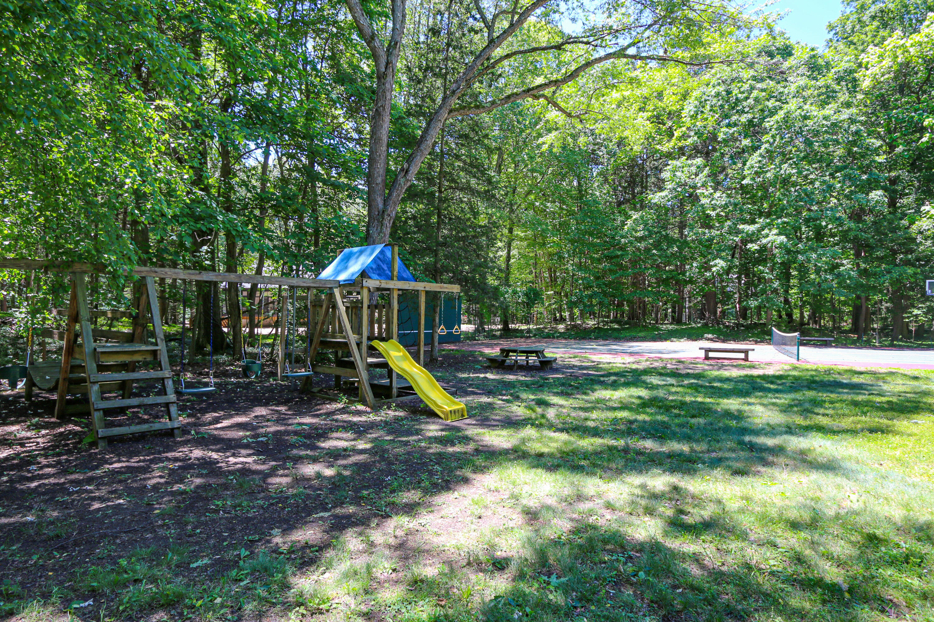 13165 Birchwood Drive