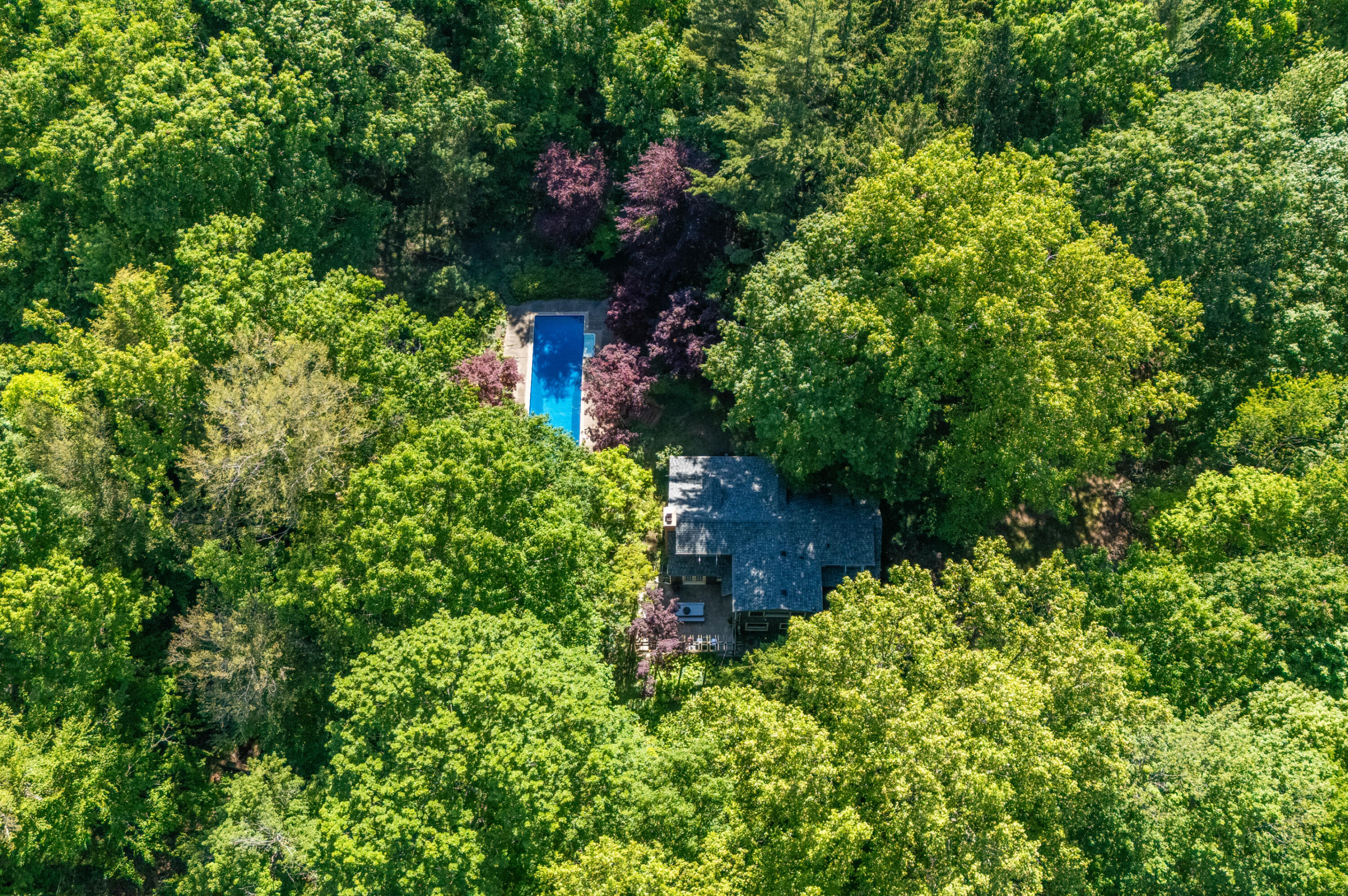 13165 Birchwood Drive