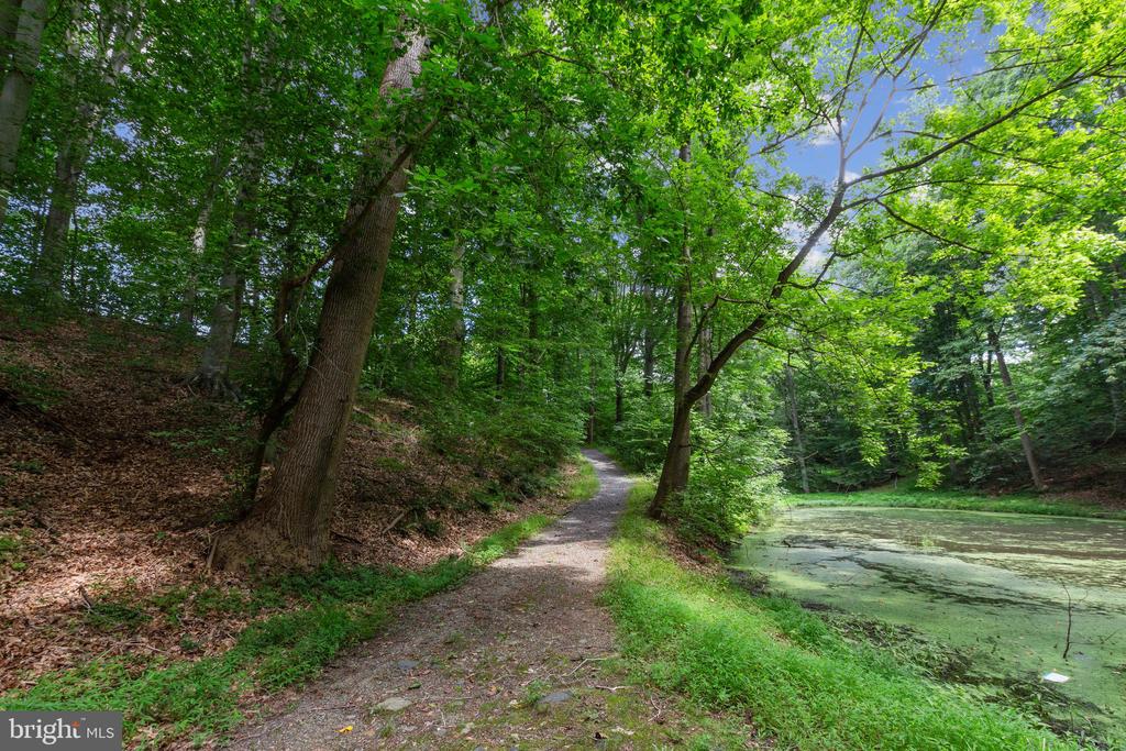 11520 Luvie Ct