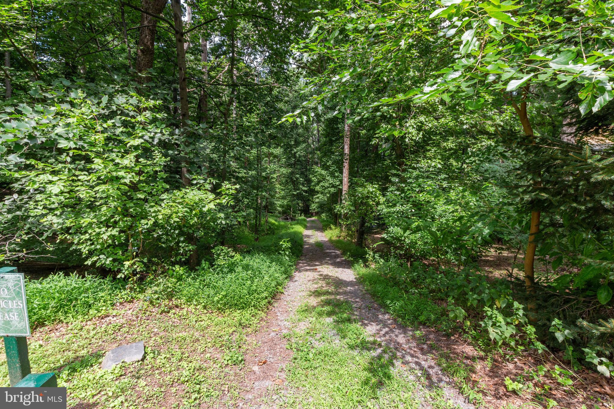 11520 Luvie Ct