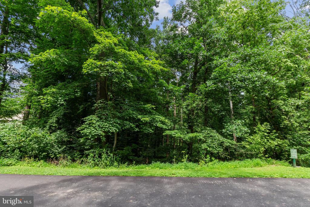 11520 Luvie Ct