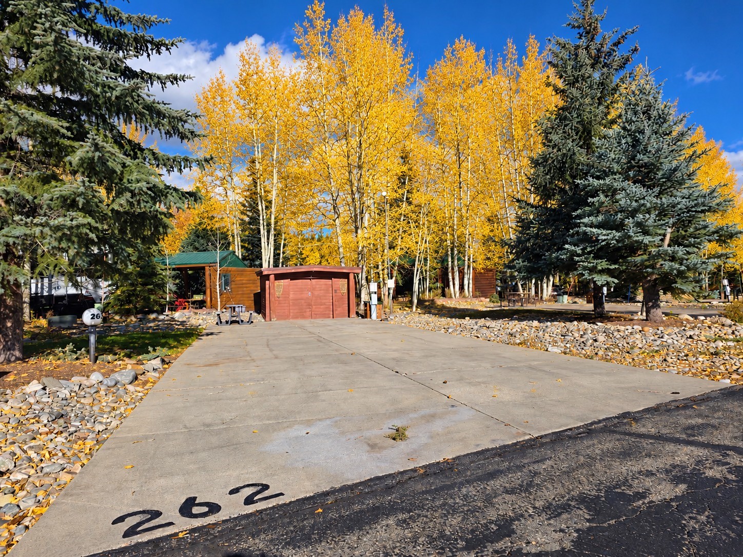 85 Revett Dr #262
