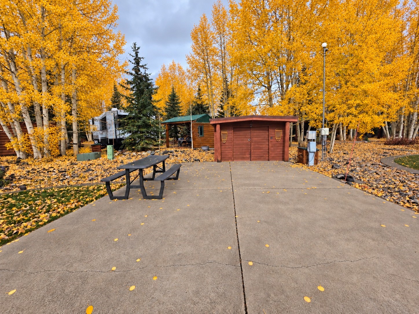 85 Revett Dr #262