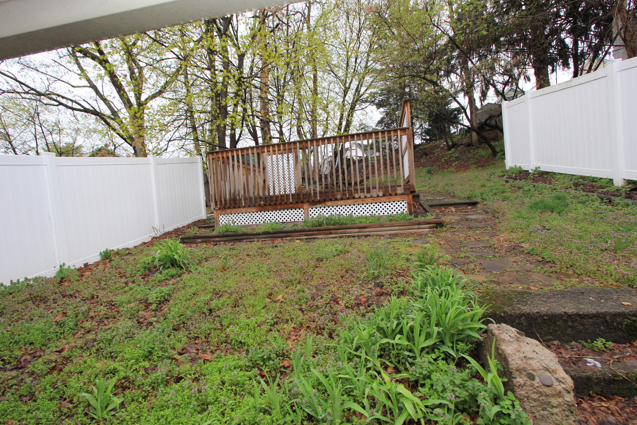 242 Luzerne Street, Wilkes-Barre