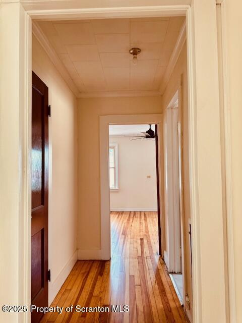 319 Dolph Street Unit: 319