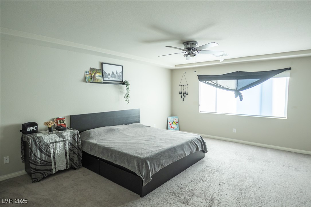 8525 Silver Coast Street