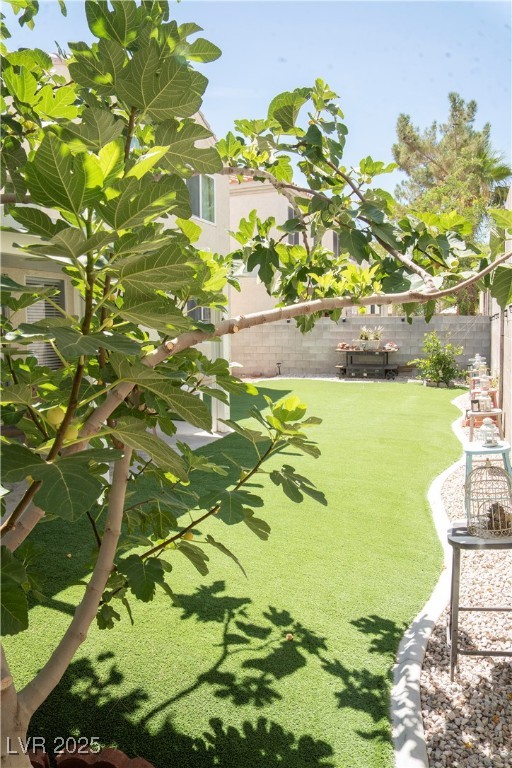 7233 Buglehorn Street