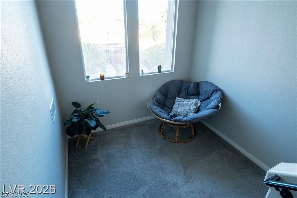 Carpeted sitting nook with a blue papasan chair beneath two windows and a potted plant.