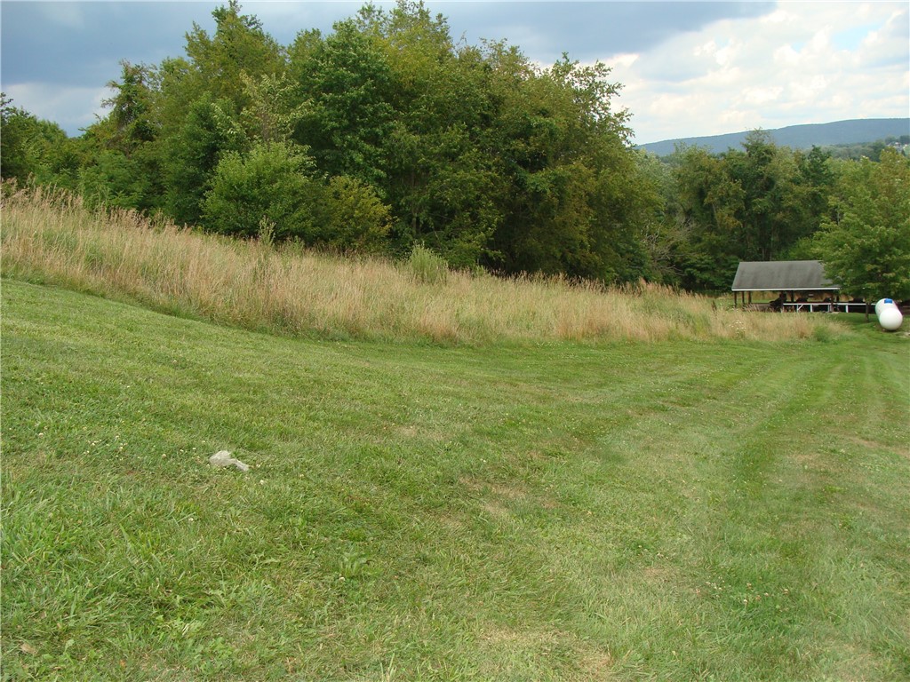 LOT 8 PLEASANT UNITY RD, RT981