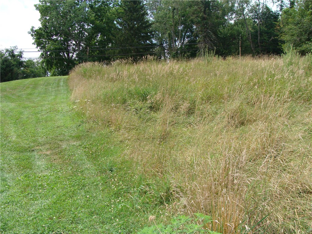 LOT 8 PLEASANT UNITY RD, RT981