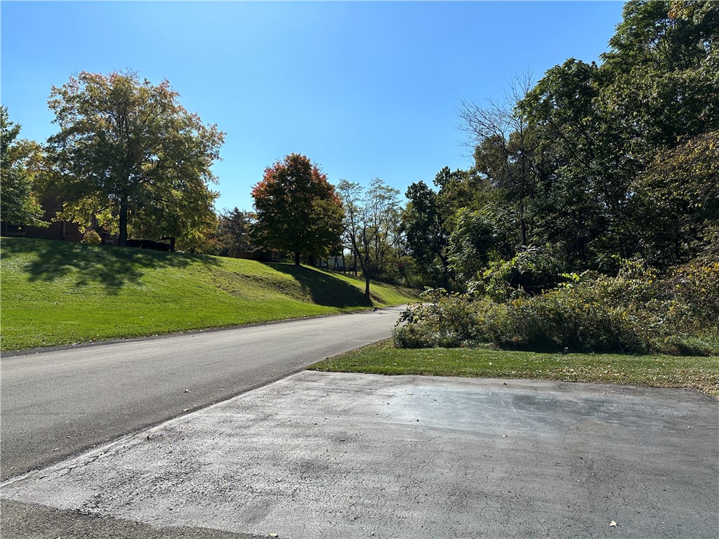 350 Black Hills Drive