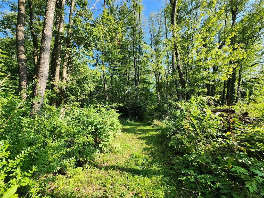 1660 Pulaski Mercer Rd