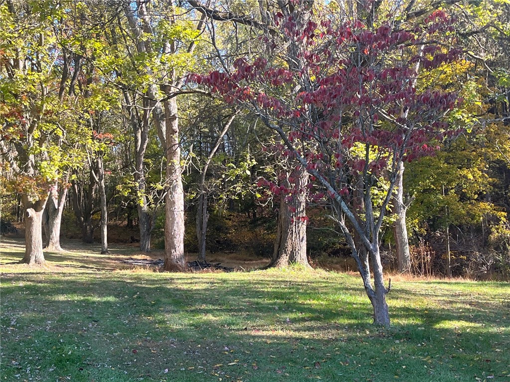 1723 Mount Pleasant Road